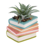 Shaped Succulents