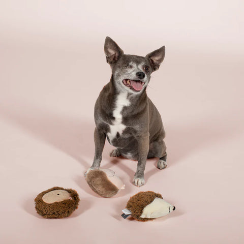 Hedgehog small dog toys