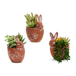 Terracotta bunny planters