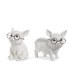 Little pigs with glasses