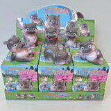 Moo Deng Hippo Blind box