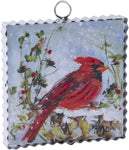 Rozie Winter Cardinal