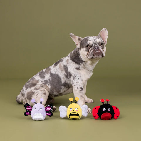 Super Fly Small Dog toys