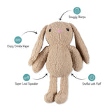 Hoppy to see you Lg. Plush Dog Toy