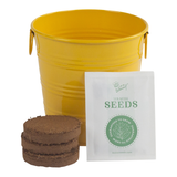 Sunflower pail kids growing kit