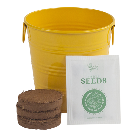 Sunflower pail kids growing kit