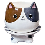Cat's Meow Footsie Planter