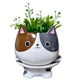 Cat's Meow Footsie Planter