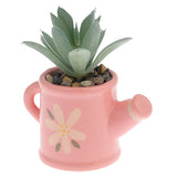 Shaped Succulents