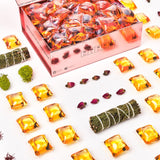 Egyptian Rose Laundry Pods