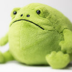Ricky the Rain Frog
