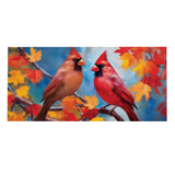 Colorful Cardinal Sassafrass