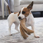 Medium antler chew toy