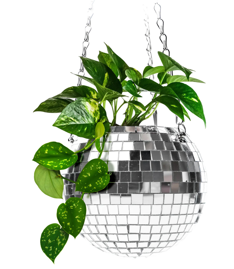 disco plant hanger Disco plant hanger – Hutto General Store