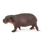 Pygmy Hippo