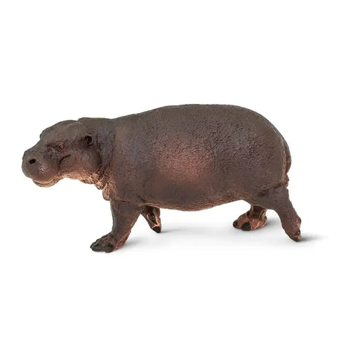Pygmy Hippo