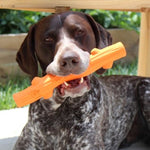 GOAT Fetch Stick