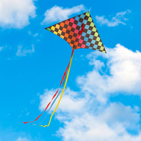 Ever Fliers Rainbow checkers kite