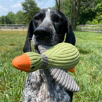 Duck Squeaker toy for Dogs