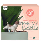 Pee my plants dog