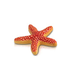 Star fish mini