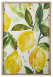 36" lemon branch framed print